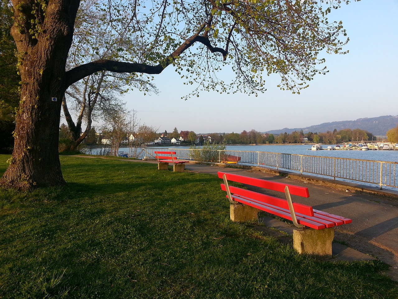 连胜背后 连胜背后