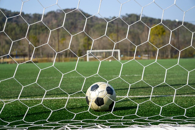 次数两项关 次数两项关