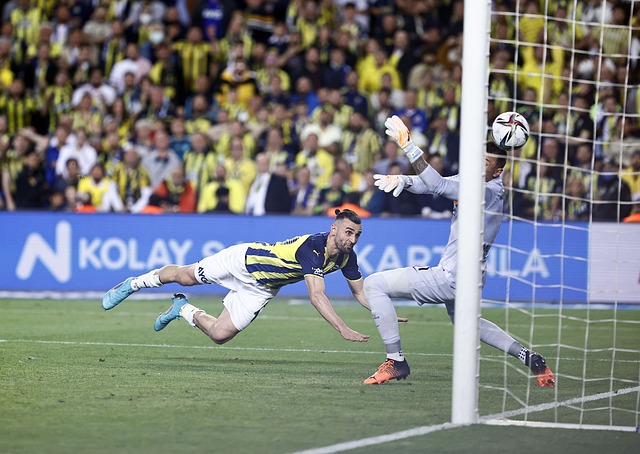 待复制这样 待复制这样