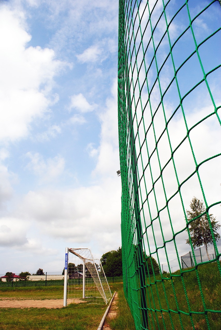 海男篮失去 海男篮失去