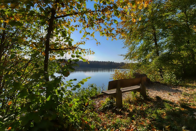 不确定性 不确定性