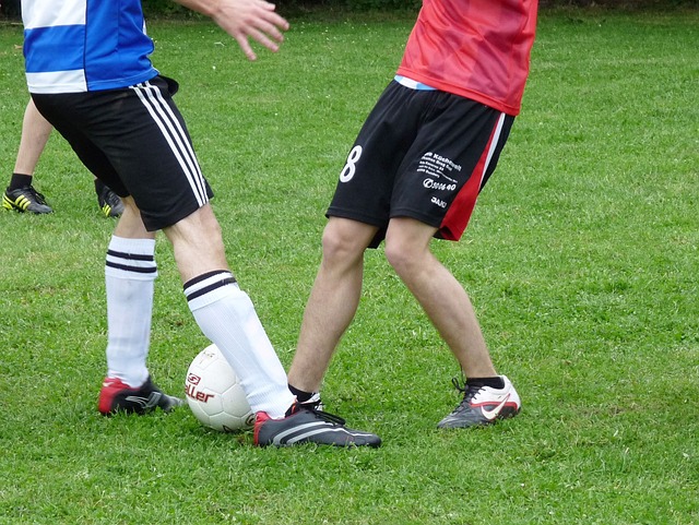 合理的投資 合理的投資