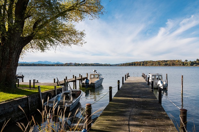 他国经验对 他国经验对